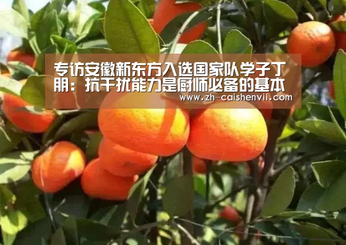 专访安徽新东方入选国家队学子丁朋:抗干扰能力是厨师必备的基本素养‘彩神vii’(图3) 彩神vii
